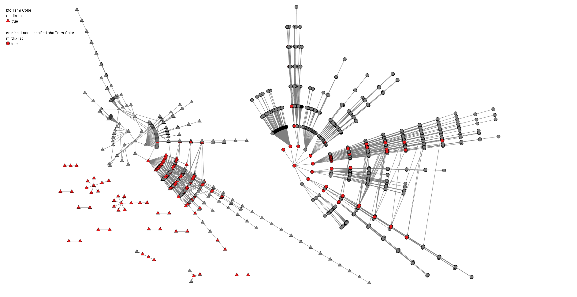 Network